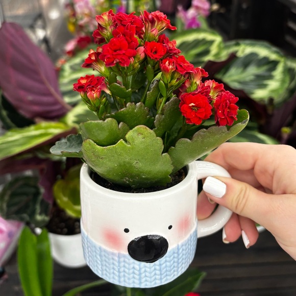 cutiepootie00
